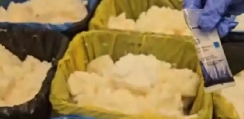 España decomisa 625 kilos de metanfetamina en aceite de coco procedente de México