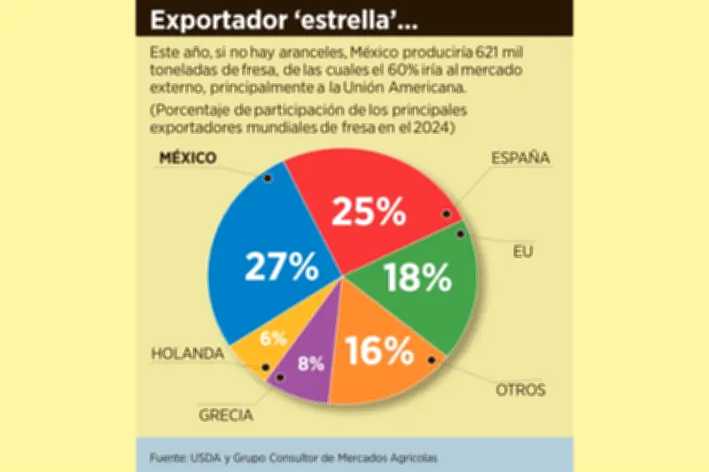 Estados Unidos Detecta Prácticas de Dumping en Importaciones de Fresas Mexicanas