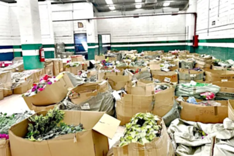 Estados Unidos y México Reforzarán Acciones Conjuntas Contra la Piratería