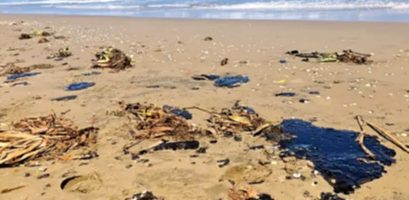 Exigen cierre de playas en Veracruz por contaminación con hidrocarburos que causa manchas en piel