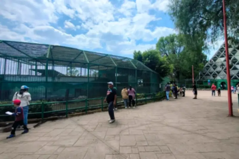 Exigen cierre definitivo del zoológico de Neza por condiciones deplorables