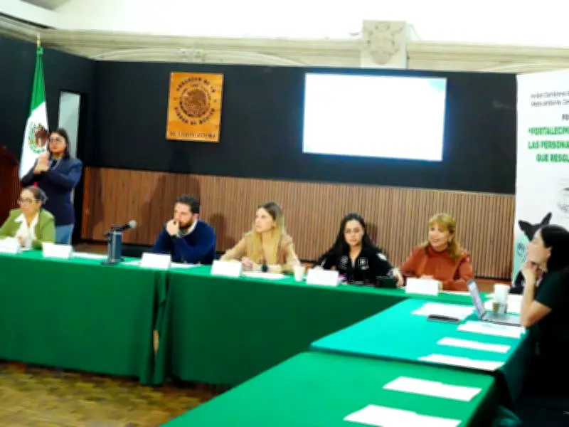 Exigen Ley de Bienestar Animal en CDMX: Rescatistas Piden Apoyo Real