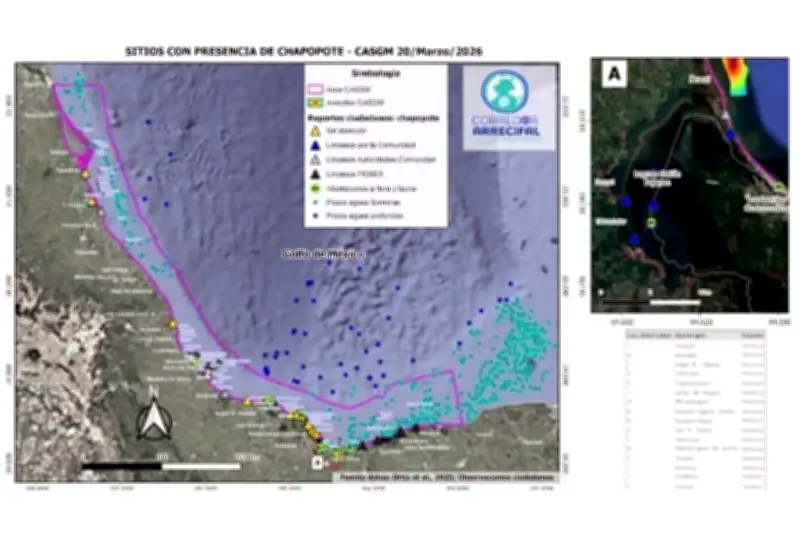 Expertos alertan sobre incremento del impacto del derrame petrolero en el Golfo de México