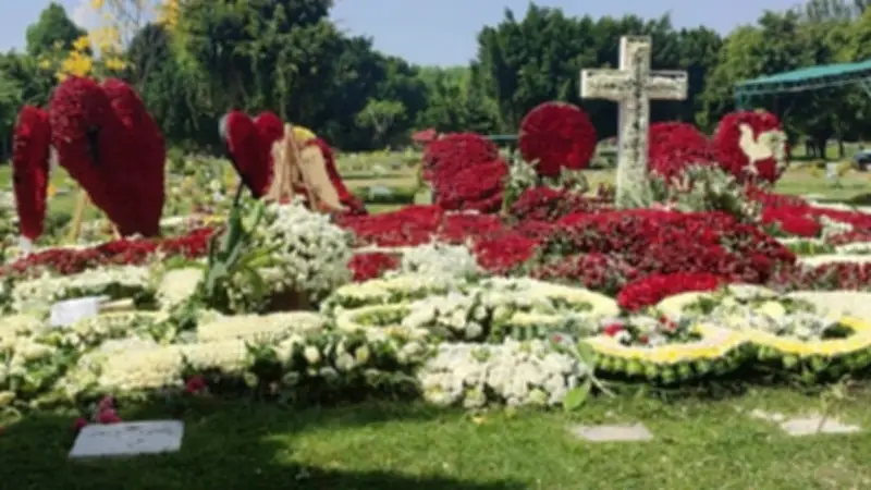 Expertos colombianos alertan: Tras la caída del 'Mencho' surgirán 'baby cárteles' en México