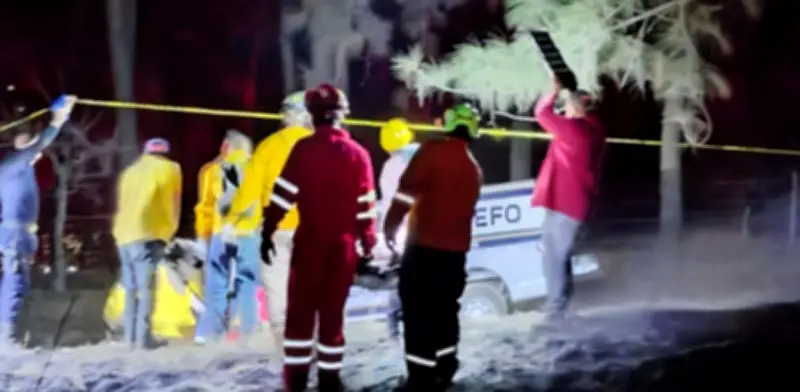 Fallecen dos brigadistas en incendio forestal de Michoacán, primeros de la temporada 2026