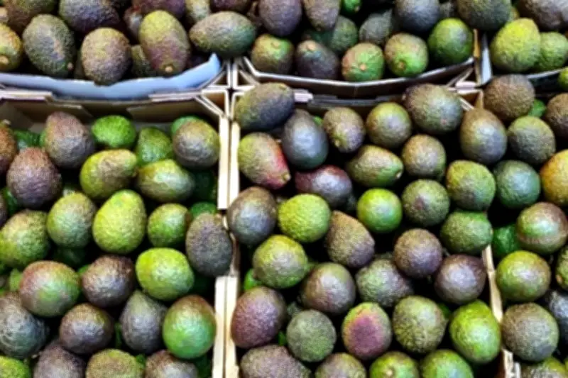 FAO estima que México desperdicia 9.3% de sus alimentos básicos anualmente