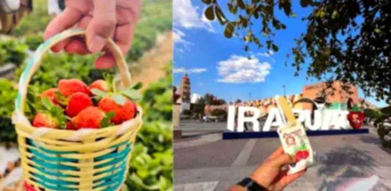 Feria de las Fresas Irapuato 2026: Fechas, Artistas y Todo lo que Debes Saber