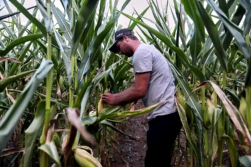 Fertilizantes en Alza: Amenaza de Encarecimiento para Productores Agrícolas