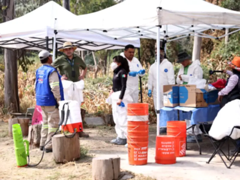 FGJCDMX localiza 155 microfragmentos óseos en segunda fase de excavación en Panteón Dolores
