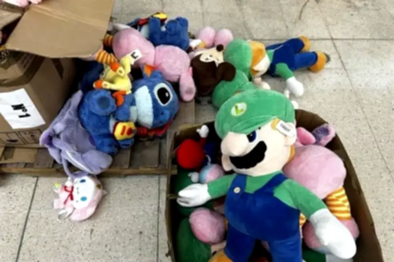 FGR intensificará operativos contra piratería tras entrada en vigor del T-MEC