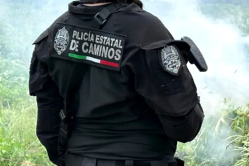 Fiscalía de Jalisco investiga acusaciones de narconomía vinculadas al Cártel Jalisco Nueva Generación