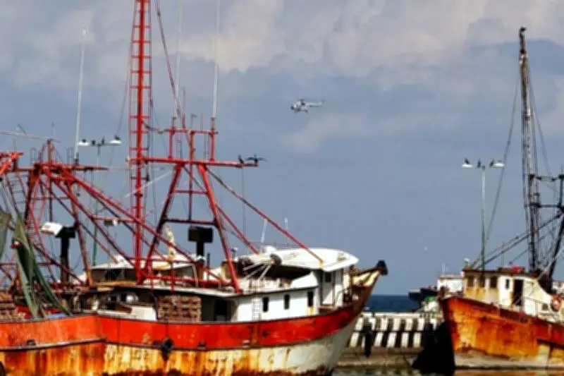 Flota camaronera mexicana obtiene reconocimiento del 93% en cumplimiento normativo