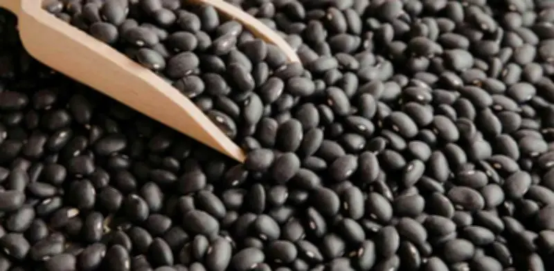 Frijoles mexicanos: variedades más nutritivas para una dieta saludable