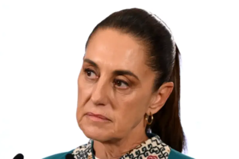 Frontera ganadera con EU podría reabrir gradualmente por control de gusano barrenador