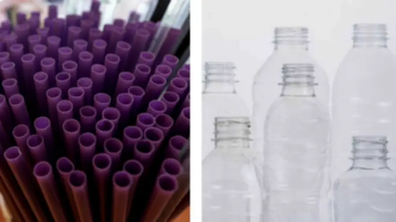 Ftalatos en Objetos Cotidianos: Un Riesgo Silencioso para la Salud en México