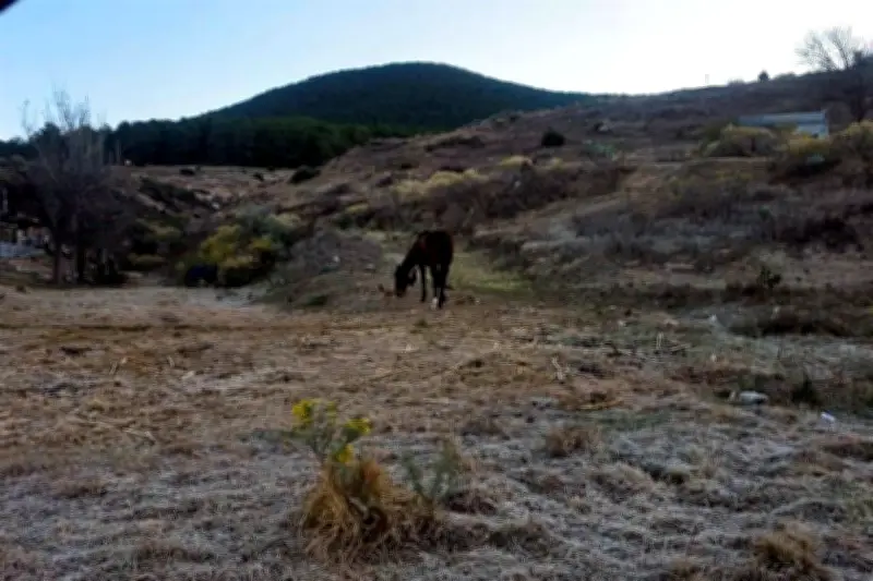 Galeana en Nuevo León en Alerta por Heladas Intensas y Bajas Temperaturas