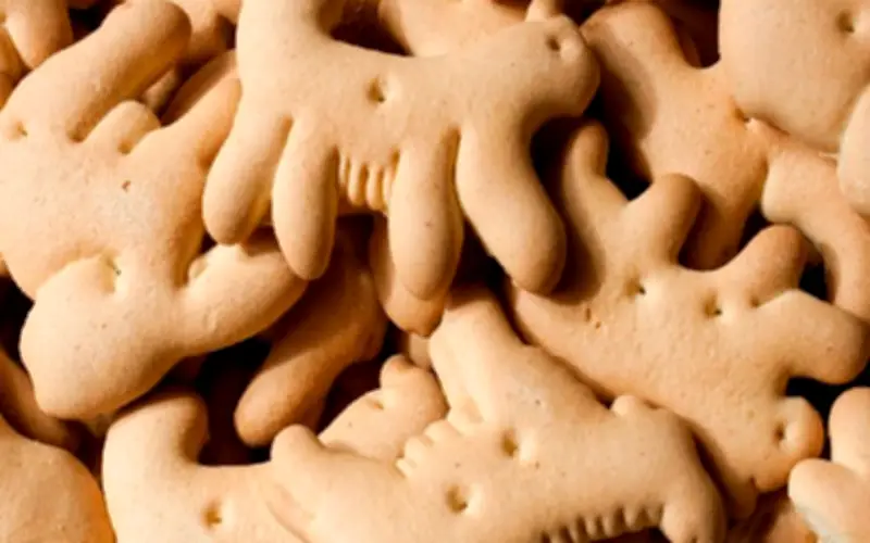 Galletas de Animalitos: La Historia del Circo que Endulzó a México