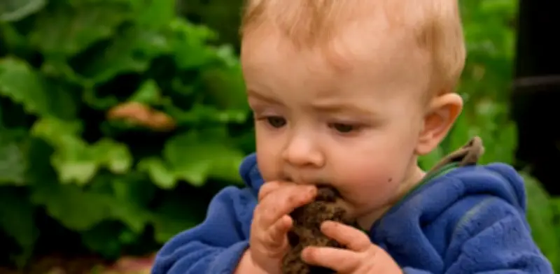 Geofagia: Los Peligros Ocultos de Comer Tierra y Barro para la Salud