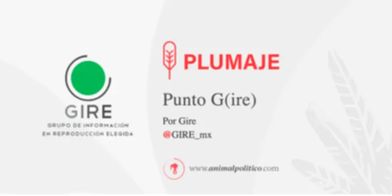 Gestación por sustitución en México: Vacío legal y fallo clave de la Suprema Corte