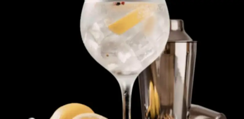 Gin vs Ginebra: Descubre los Tipos y Formas de Beber este Destilado Botánico