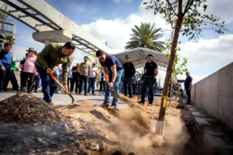 Gobierno anuncia plantación de miles de árboles en Constitución para reforestación urbana