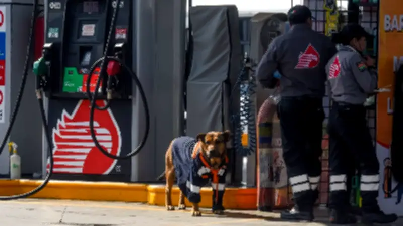 Gobierno de México hará obligatorio el pago digital en gasolineras y casetas en 2026