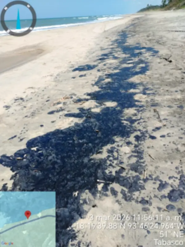 Gobierno federal destina 225 millones de pesos para atender derrame de hidrocarburos en Golfo de México