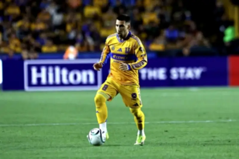 Gorriarán: 'Culebro me demostró lo que es ser Tigre'