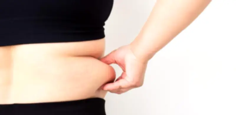 Grasa visceral: el enemigo silencioso que causa Alzheimer y cáncer