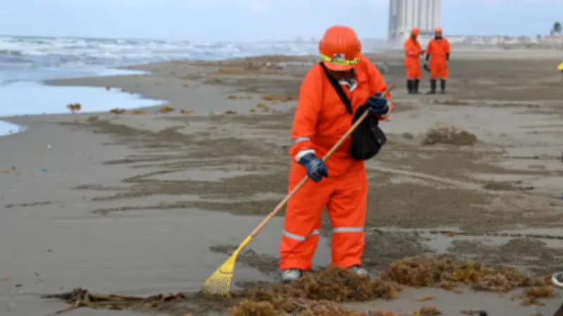 Greenpeace convoca a documentar fotográficamente el derrame petrolero en el Golfo de México