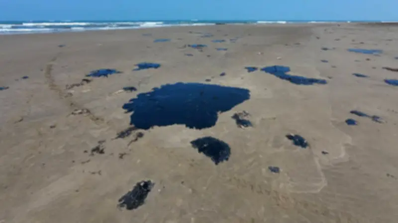 Greenpeace documenta devastador impacto del derrame petrolero en playas del Golfo de México