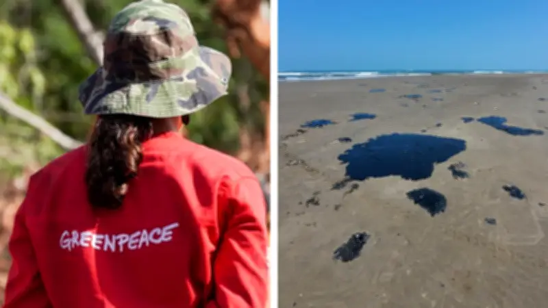 Greenpeace México aclara origen de infografía y defiende mapa ciudadano sobre derrame petrolero