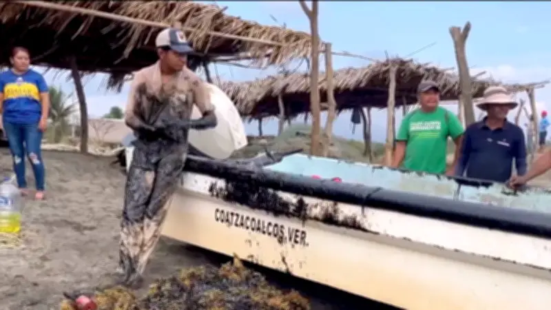 Greenpeace responde a Sheinbaum: Lo crucial es la falta de responsable identificado en derrame