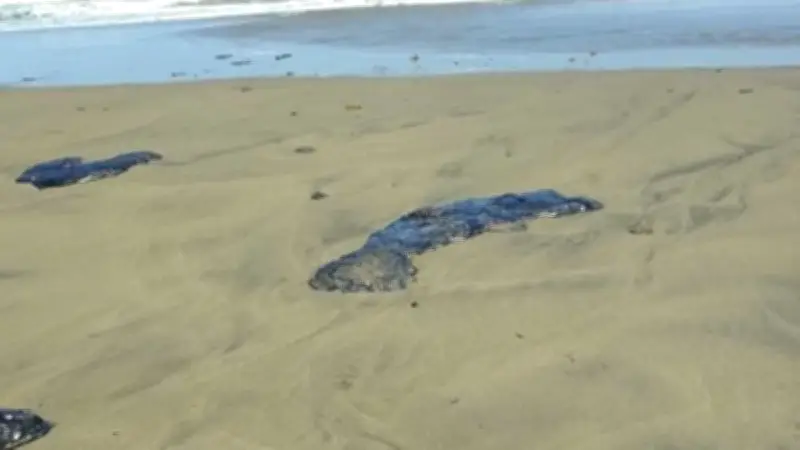 Greenpeace y ONG's acusan que derrame en Golfo de México inició en febrero, no en marzo