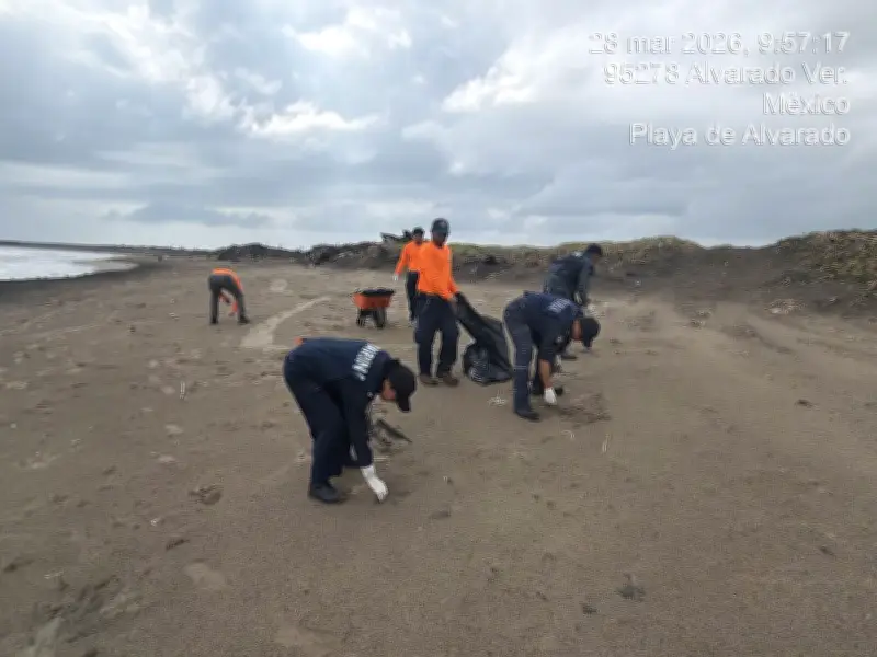 Grupo Interinstitucional intensifica acciones ante derrame de hidrocarburos en Golfo de México