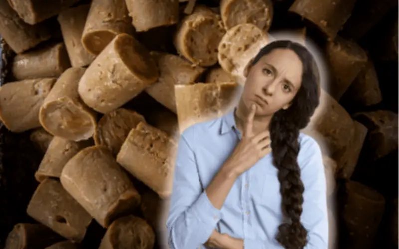 Guía Completa: Cómo Conservar el Piloncillo y Detectar Si Se Ha Echado a Perder