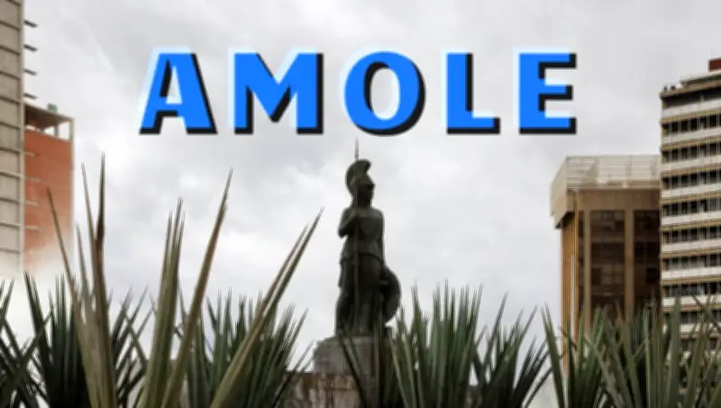 Guadalajara 2026: Descubre el significado de 'amole' y otras palabras tapatías esenciales para el Mundial