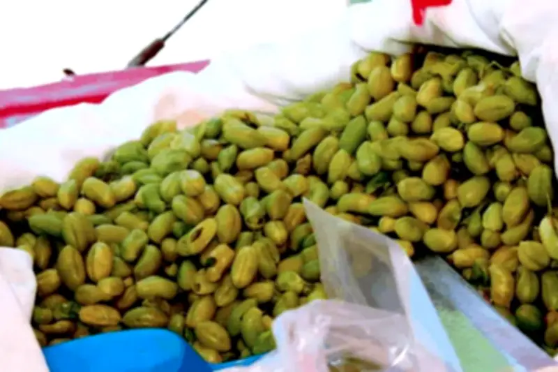 Guasanas en Guadalajara: El significado cultural y gastronómico de esta botana tapatía