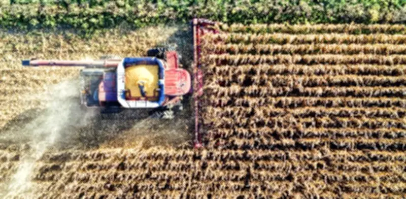 Guerra eleva precios de fertilizantes y amenaza la producción alimentaria mundial