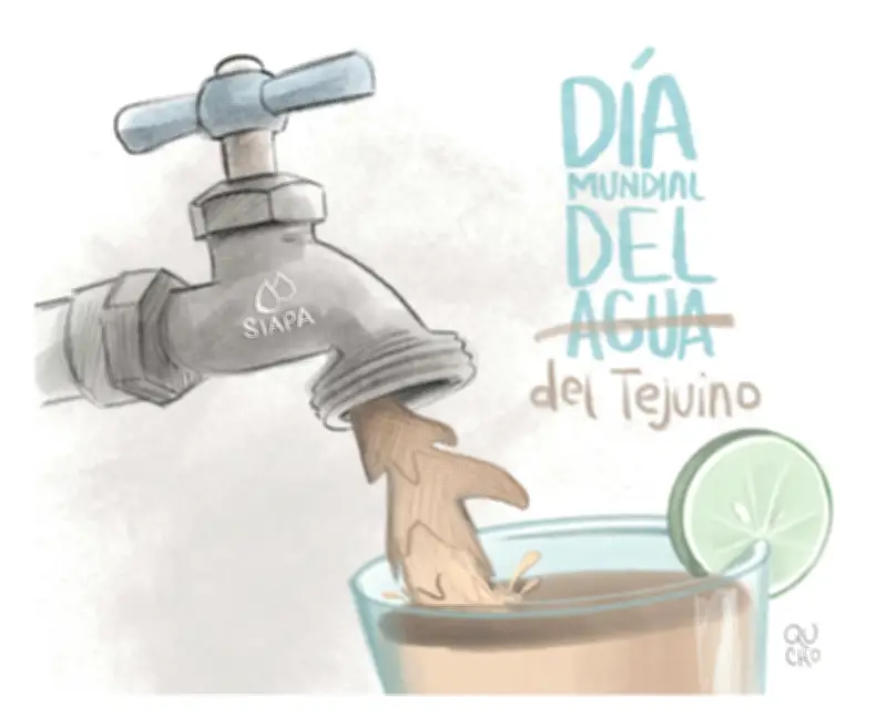 Hallan cartuchos de alto poder en zona residencial de Guadalajara