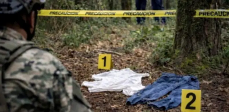 Hallan cuerpo en zona boscosa de Cuernavaca durante búsqueda de estudiante desaparecida