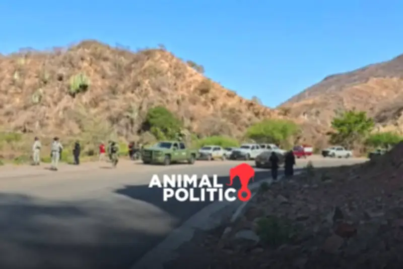 Hallan cuerpos en carretera de la Montaña de Guerrero, entre Tlapa y Metlatónoc