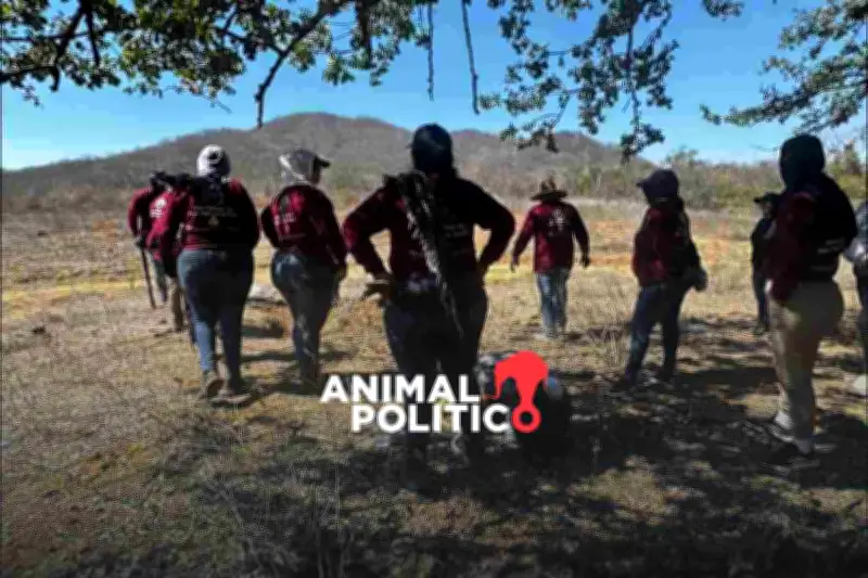 Hallan fosa clandestina en El Verde, Concordia, Sinaloa; colectivas buscan a desaparecidos