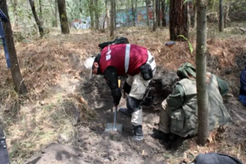 Hallan ocho restos óseos en jornada de búsqueda en Atoyac de Álvarez, Guerrero