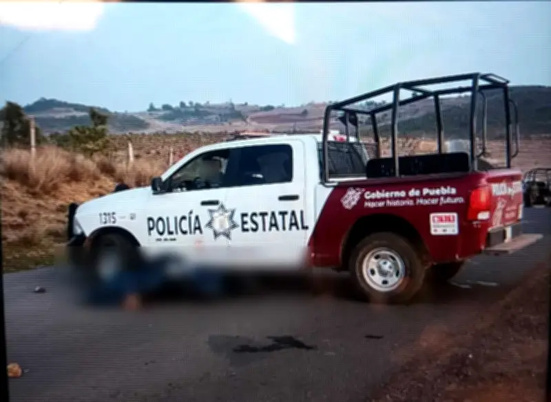 Hallan tres cuerpos ejecutados en carretera de Puebla; presumen tiro de gracia