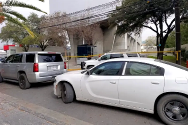 Hallazgo de Drogas y Armas en San Jerónimo: Operativo de Seguridad en CDMX