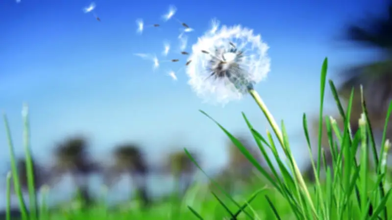 Hidalgo enfrentará vientos intensos de hasta 70 km/h este viernes, según SMN