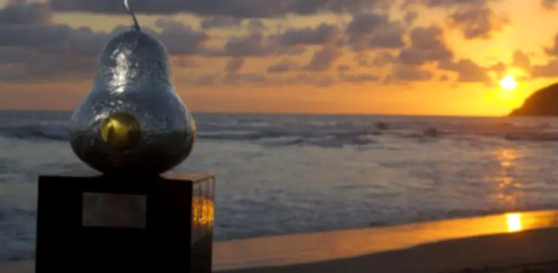 Historia Completa de los Campeones del Abierto Mexicano de Tenis (1993-2026)