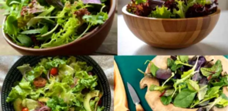 Hojas Verdes para Ensaladas: Tipos, Beneficios y Cómo Combinarlas para una Alimentación Saludable