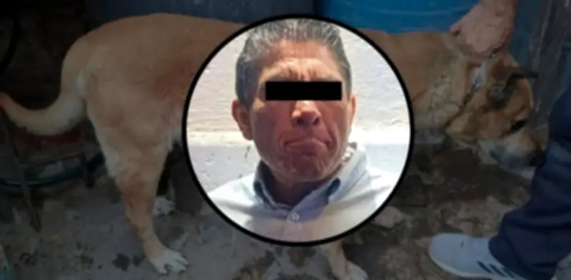 Hombre ebrio apuñala a sus perros en Iztapalapa tras pelea con su padre